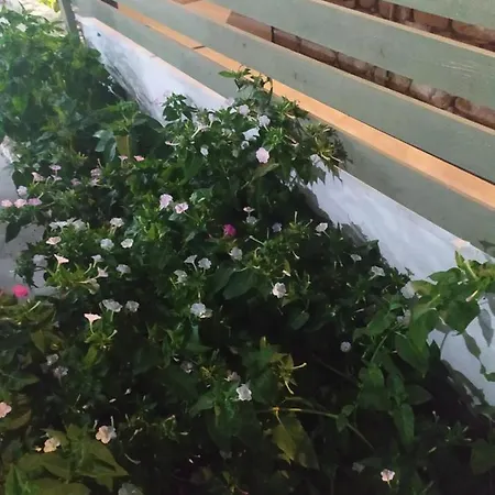 Eleana Appart hôtel 3*