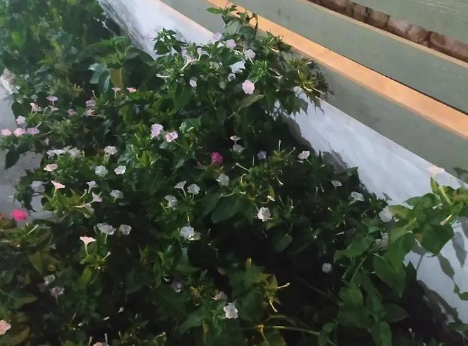 Eleana Lägenhetshotell 3*